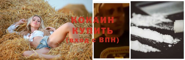 гашик Каменногорск