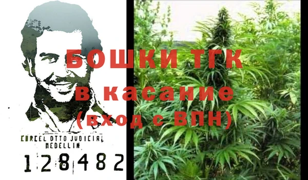 гашик Каменногорск