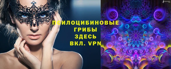 твердый Карталы